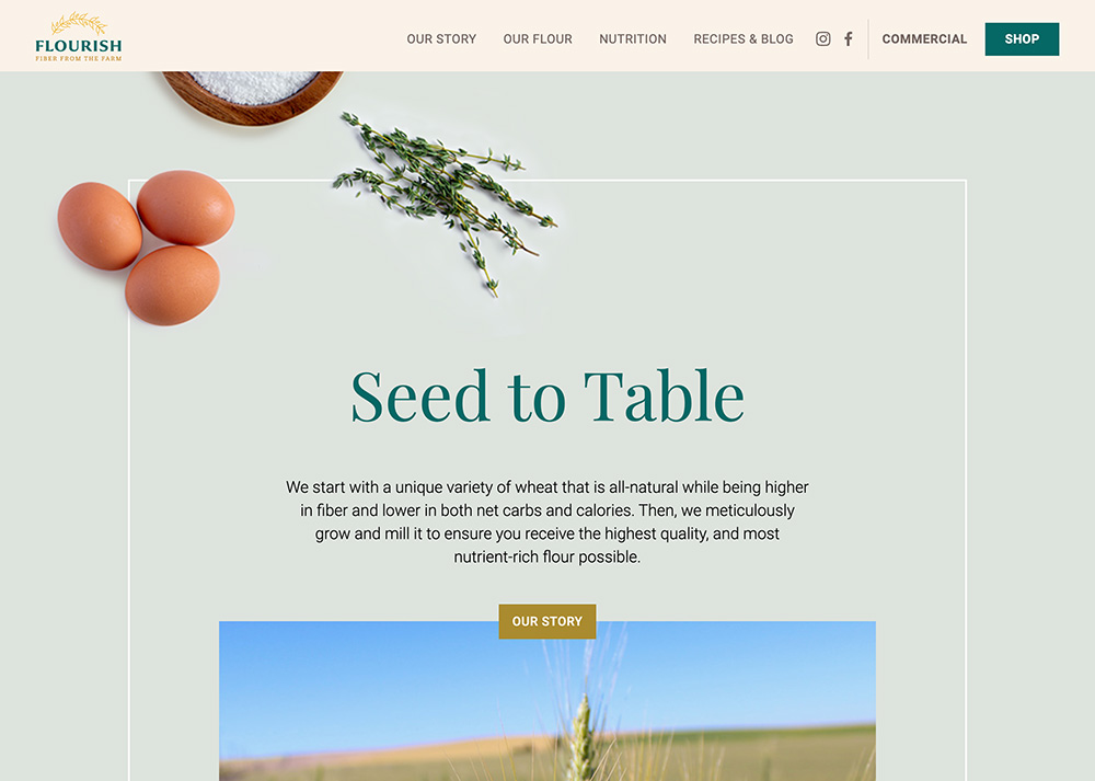 Flourish homepage design
